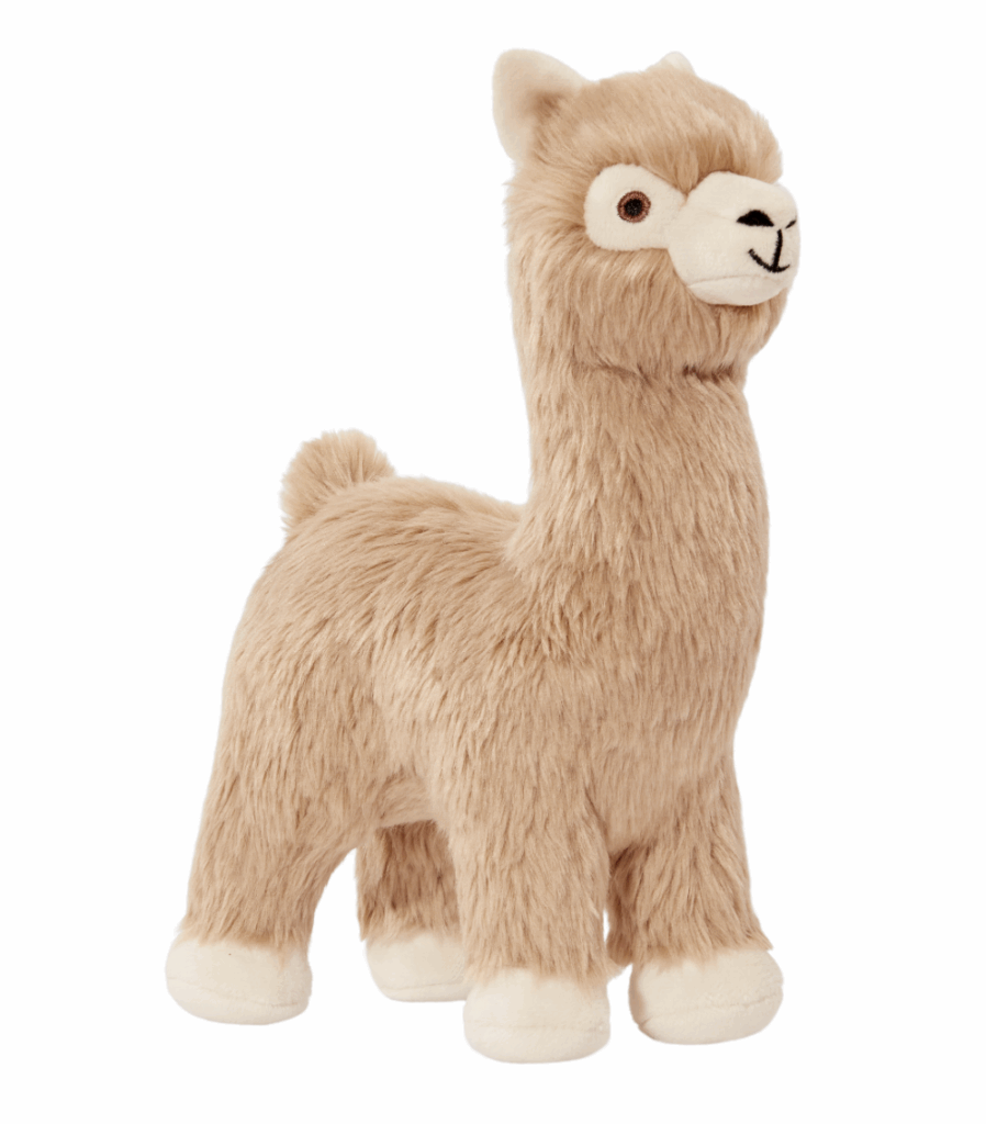 alpaca